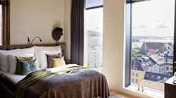 standard with view